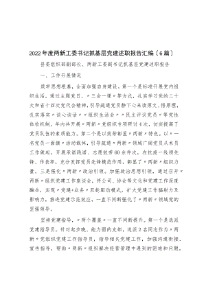 2022年度两新工委书记抓基层党建述职报告汇编（6篇）.docx