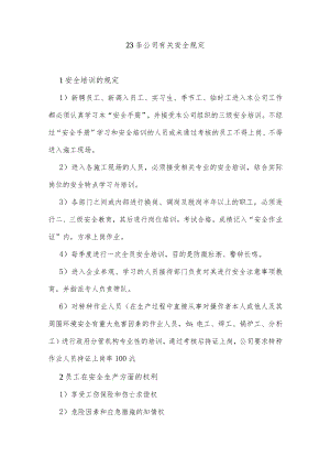 23条公司有关安全规定.docx
