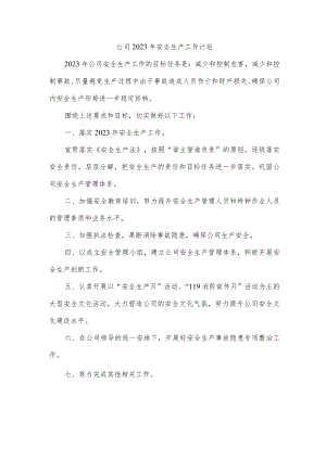 2023年公司安全生产工作计划.docx