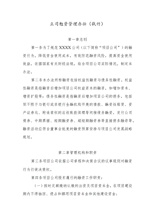 公司融资管理办法（试行）.docx