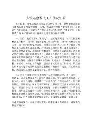 乡镇巡察整改工作情况汇报.docx