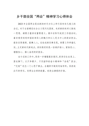 乡干部全国“两会”精神学习心得体会.docx