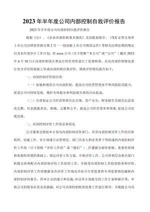 2023年半年度公司内部控制自我评价报告.docx