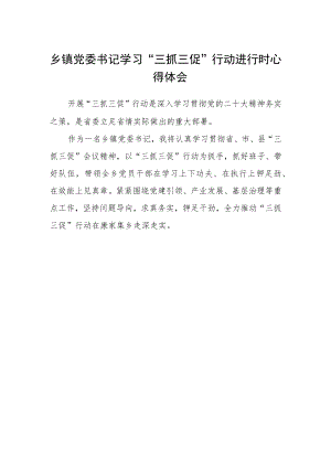乡镇党委书记学习“三抓三促”行动进行时心得体会.docx