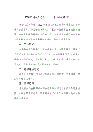 2023年政务公开工作考核办法.docx