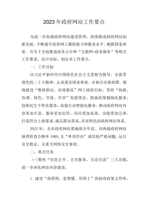 2023年政府网站工作要点.docx