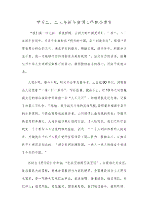 学习二〇二三年新年贺词心得体会发言.docx