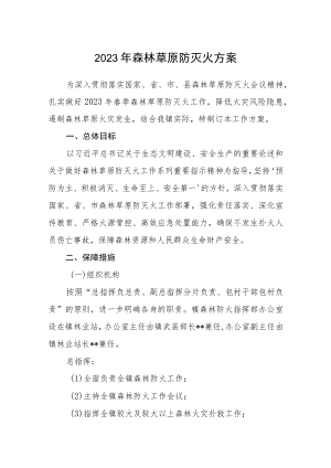 2023年森林草原防灭火方案.docx