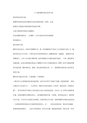 个人遇到爆炸建议处理方案.docx