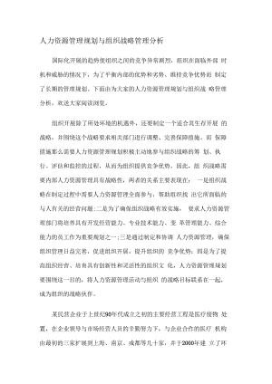 人力资源管理规划与组织战略规划管理分析解析.docx