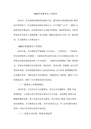 中水渔业：2022年度董事会工作报告.docx