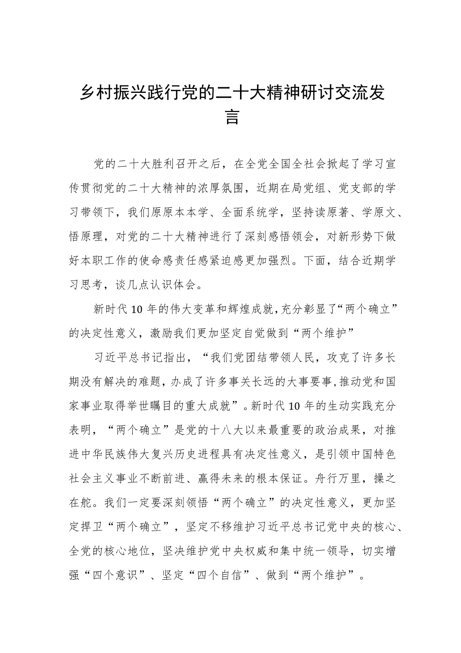 乡村振兴践行党的二十大精神研讨交流发言三篇.docx_第1页