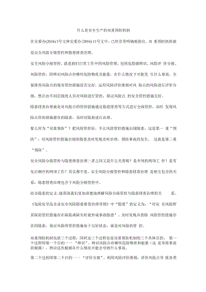 什么是安全生产的双重预防机制.docx