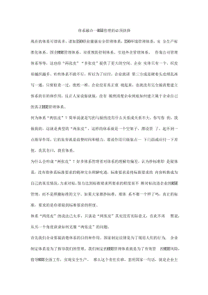 体系融合—HSE管理的必须抉择.docx