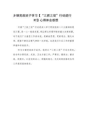 乡镇党政班子学习【“三抓三促”行动进行时】心得体会感想.docx