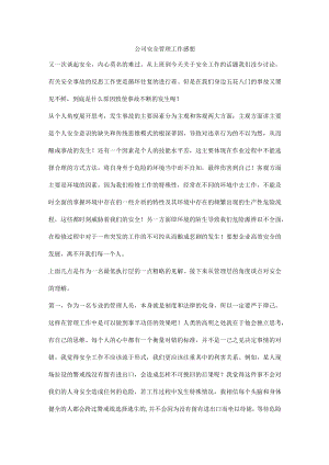 公司安全管理工作感想.docx