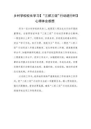 乡村学校校长学习【“三抓三促”行动进行时】心得体会感想.docx