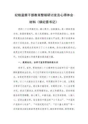 2023年纪检监察干部教育整顿研讨发言心得体会范文（镇纪委书记）.docx