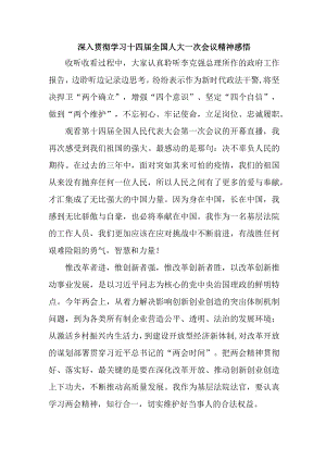 乡镇医院深入贯彻学习十四届全国人大一次会议心得体会感悟汇编2份.docx