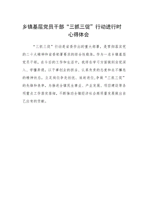 乡镇基层党员干部“三抓三促”行动进行时心得体会.docx