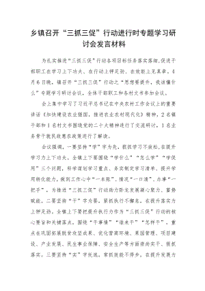 乡镇召开“三抓三促”行动进行时专题学习研讨会发言材料.docx