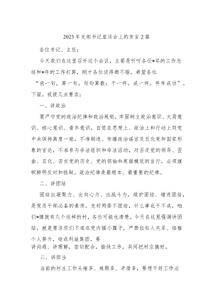 2023年支部书记座谈会上的发言2篇.docx