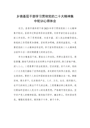 乡镇基层干部学习贯彻党的二十大精神集中轮训心得体会精选.docx
