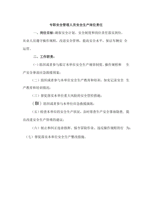 专职安全管理人员安全生产岗位责任.docx