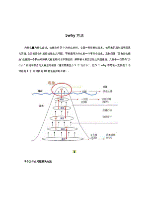 5why方法详细介绍.docx