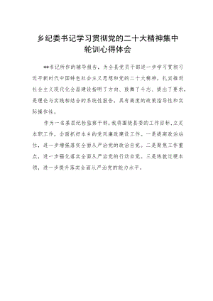 乡纪委书记学习贯彻党的二十大精神集中轮训心得体会.docx
