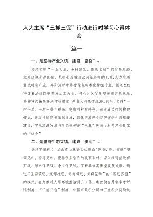 人大主席“三抓三促”行动进行时学习心得体会五篇.docx