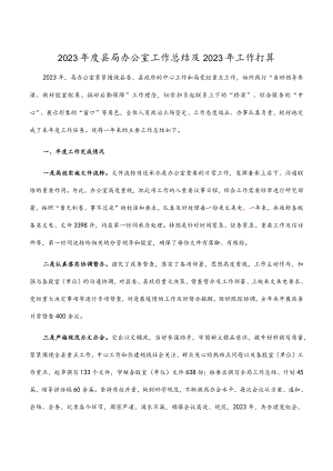2023年度县局办公室工作总结及2023年工作打算.docx