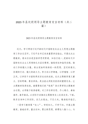 2023年县处级领导主题教育发言材料(共二篇).docx