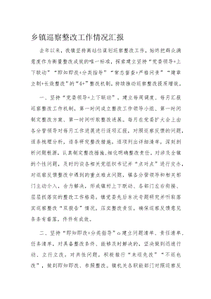 乡镇巡察整改工作情况汇报.docx