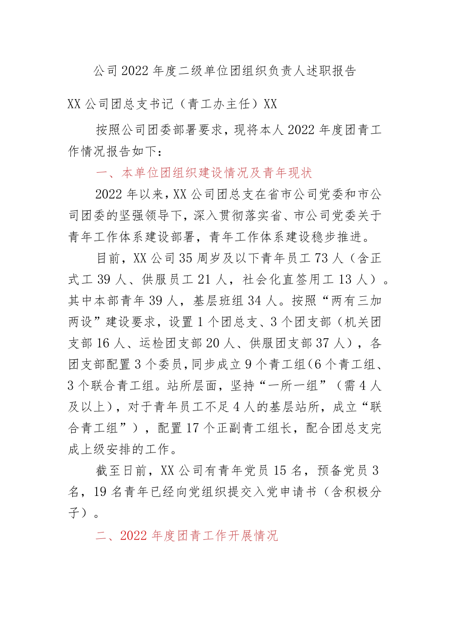 XX公司2022年度单位团组织负责人述职报告.docx_第1页