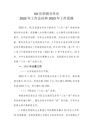 XX区供销合作社 2022 年工作总结和 2023 年工作思路.docx