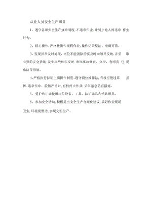 从业人员安全生产职责.docx