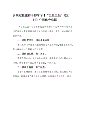 乡镇纪检监察干部学习【“三抓三促”进行时】心得体会感悟.docx