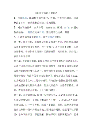 修井作业防汛自查自改.docx