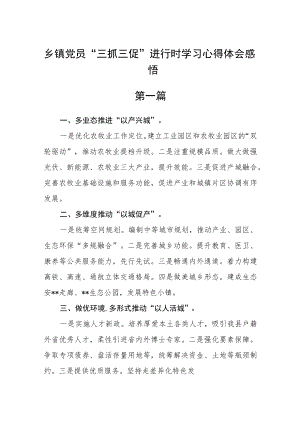 乡镇党员“三抓三促”进行时学习心得体会感悟12篇.docx