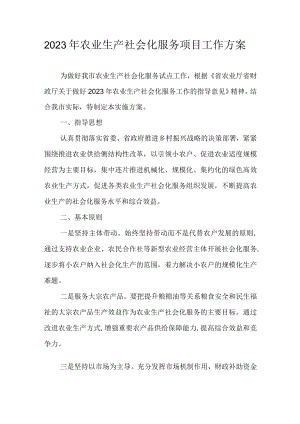 2023年农业生产社会化服务项目工作方案.docx