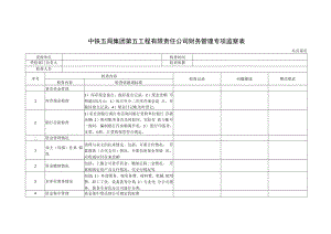 五公司财会专项监察表-20170525.docx