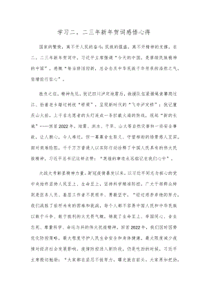 学习二〇二三年新年贺词感悟心得.docx