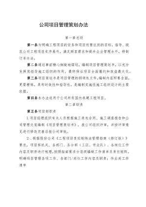 公司项目管理策划办法.docx