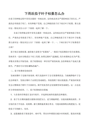 下雨后茄子叶子枯萎怎么办.docx