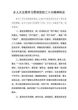 乡人大主席学习贯彻党的二十大精神体会.docx