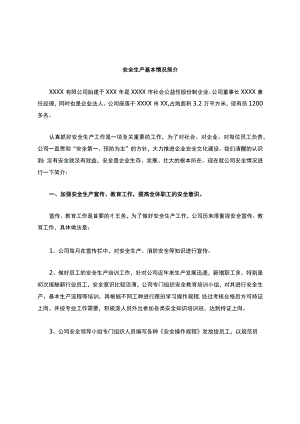 公司安全生产基本情况说明.docx