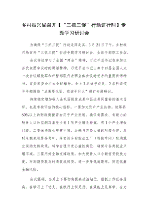 乡村振兴局召开【“三抓三促”行动进行时】专题学习研讨会.docx