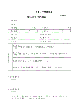 公司安全生产评价报告.docx