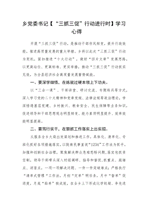 乡党委书记【“三抓三促”行动进行时】学习心得.docx